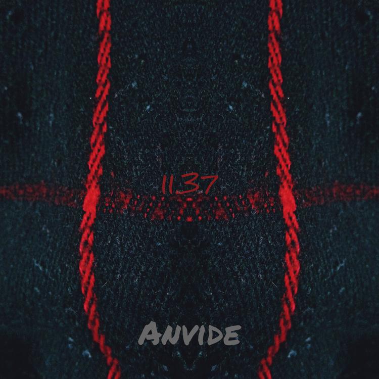 Anvide's avatar image