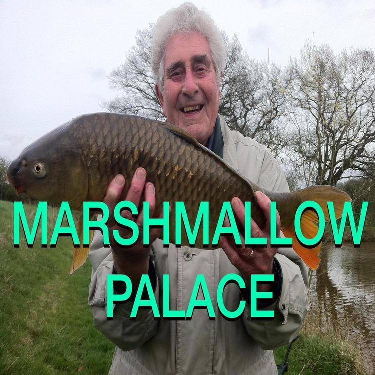 Marshmallow Palace's avatar image