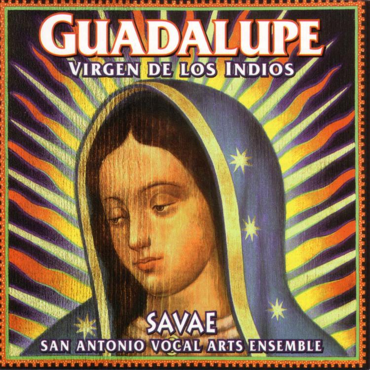 San Antonio Vocal Arts Ensemble's avatar image