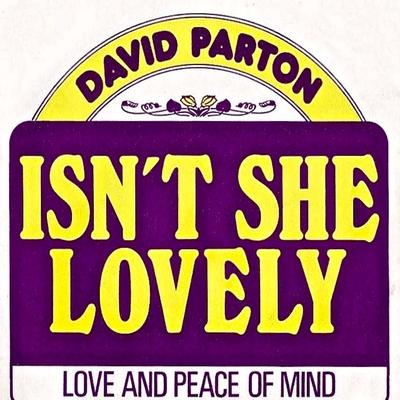 Isn't She Lovely By David Parton's cover