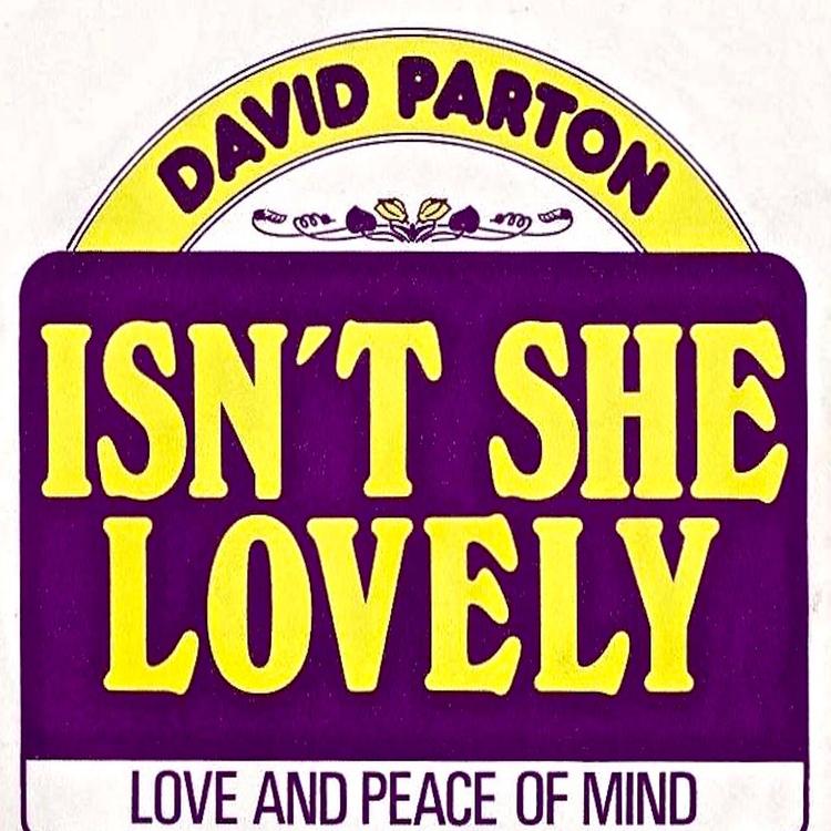 David Parton's avatar image