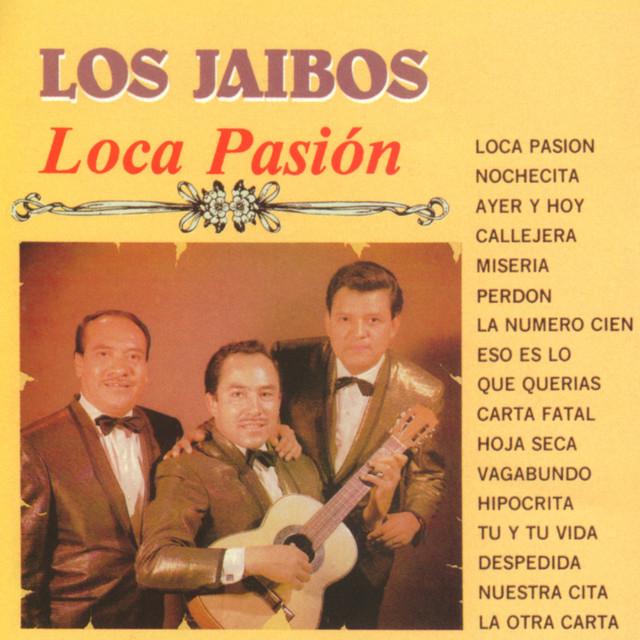 Los Jaibos's avatar image