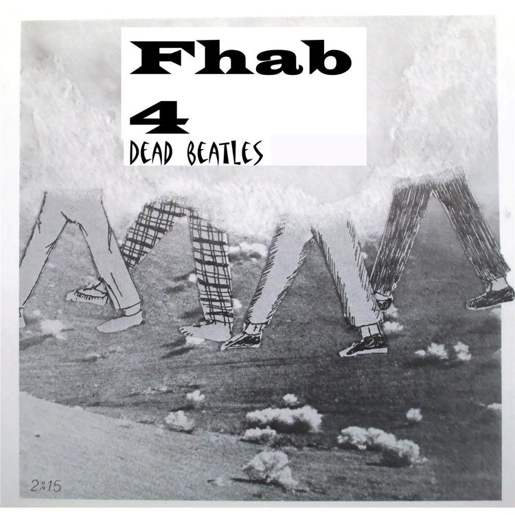 Fhab4's avatar image