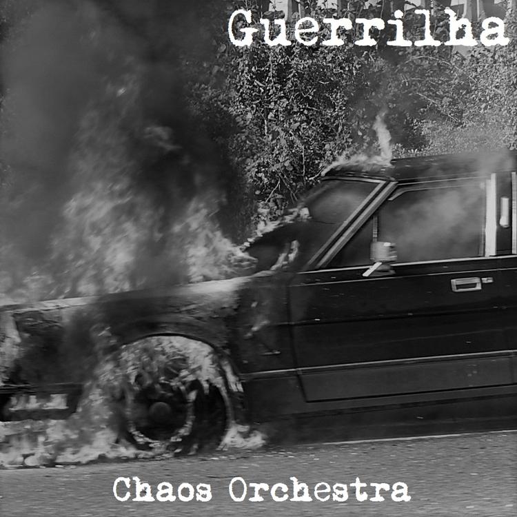 Guerrilha's avatar image