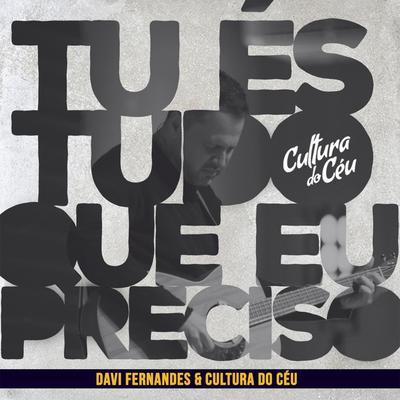 Tu És Tudo Que Eu Preciso (Ao Vivo) By Davi Fernandes & Cultura do Céu's cover
