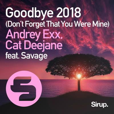 Goodbye (Don't Forget That You Were Mine) 2018's cover