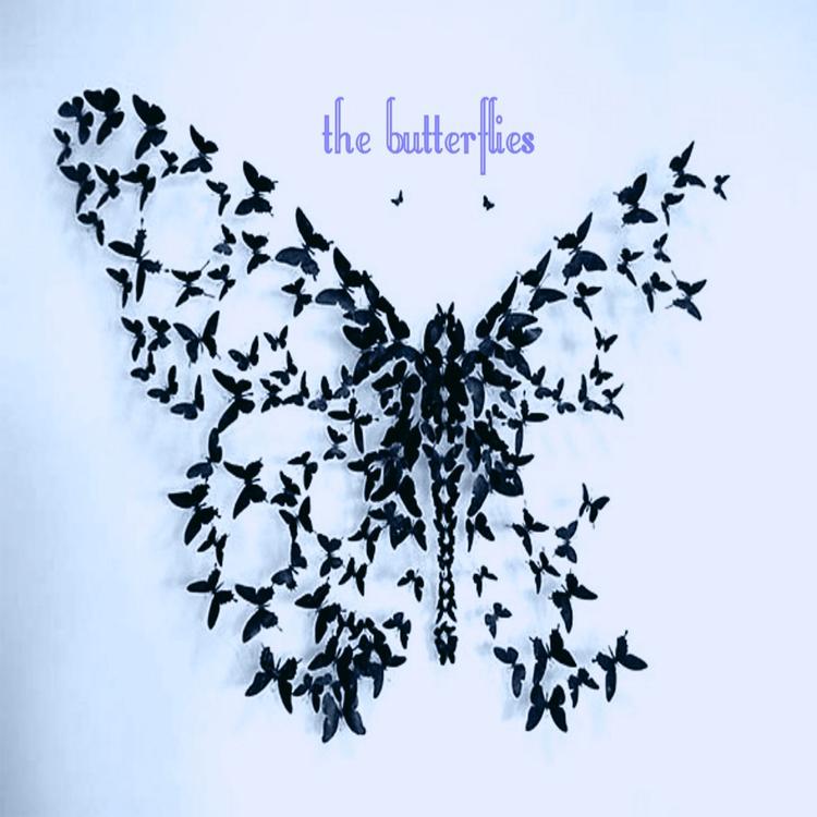 The Butterflies's avatar image