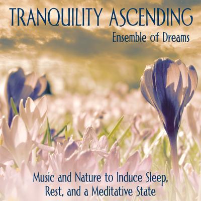 Moonlit Meditations By Ensemble of Dreams's cover