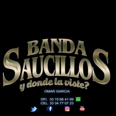 Banda Saucillos's cover