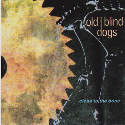 The Twa Corbies By Old Blind Dogs's cover