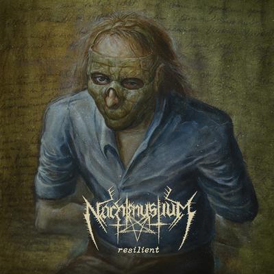 Silver Lanterns By Nachtmystium's cover