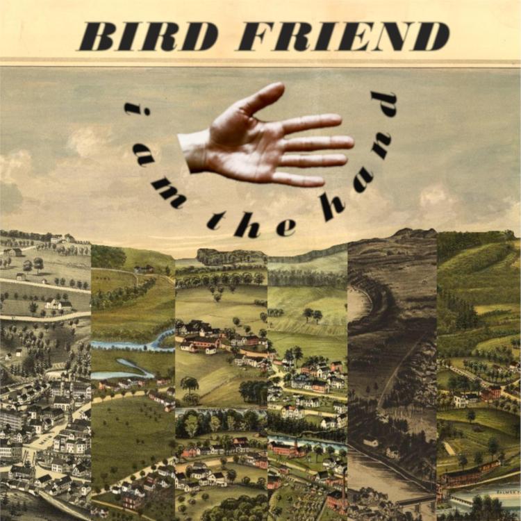 Bird Friend's avatar image