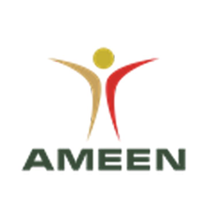 Ameen's avatar image