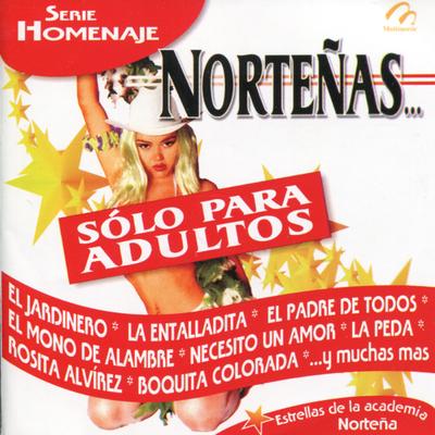 El Mono de Alambre's cover
