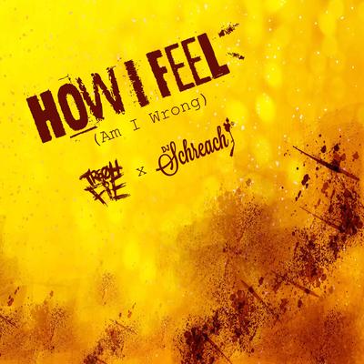 How I Feel (Am I Wrong) [feat. Dj Schreach] By Dj Schreach, Tre Oh Fie's cover