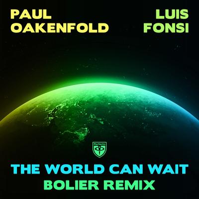 The World Can Wait (Bolier Remix)'s cover