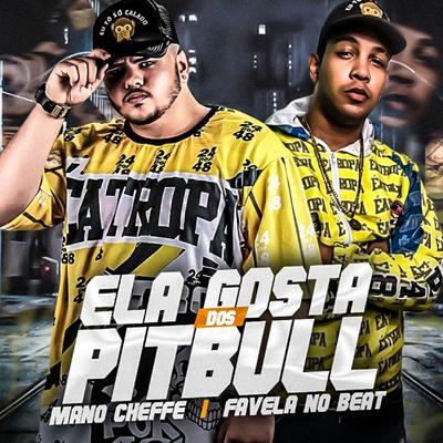 Ela Gosta dos Pitbull By Mano Cheffe, Favela no Beat's cover