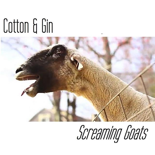 Cotton & Gin's avatar image