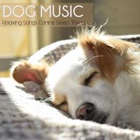 Dog Music Zone's avatar cover