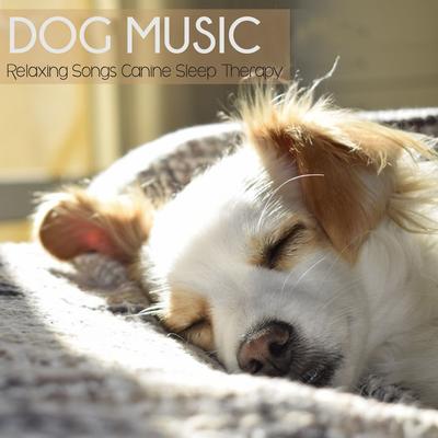 Dog Music Zone's cover