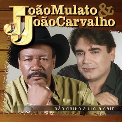 Não Deixo a Viola Cair By João Mulato e João Carvalho's cover