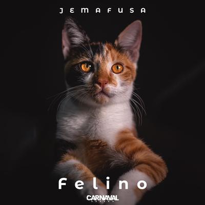 Felino's cover