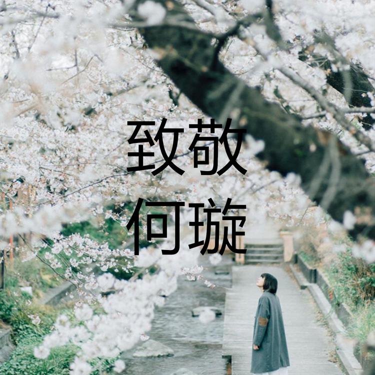 何璇's avatar image