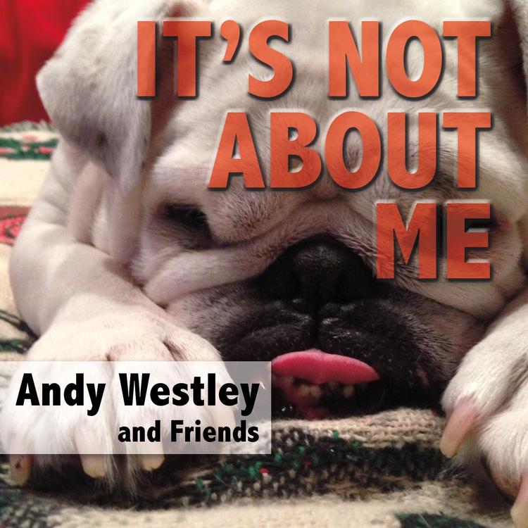 Andy Westley and Friends's avatar image