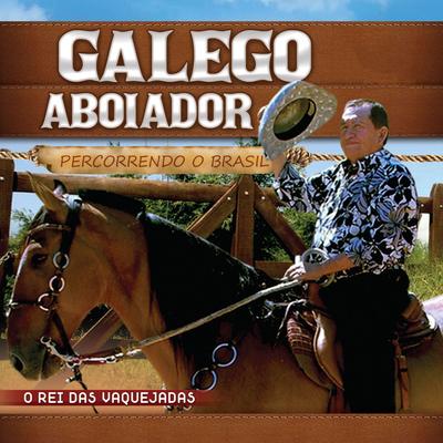 O Apaixonado By Galego Aboiador's cover