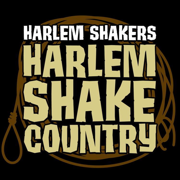 Harlem Shakers's avatar image