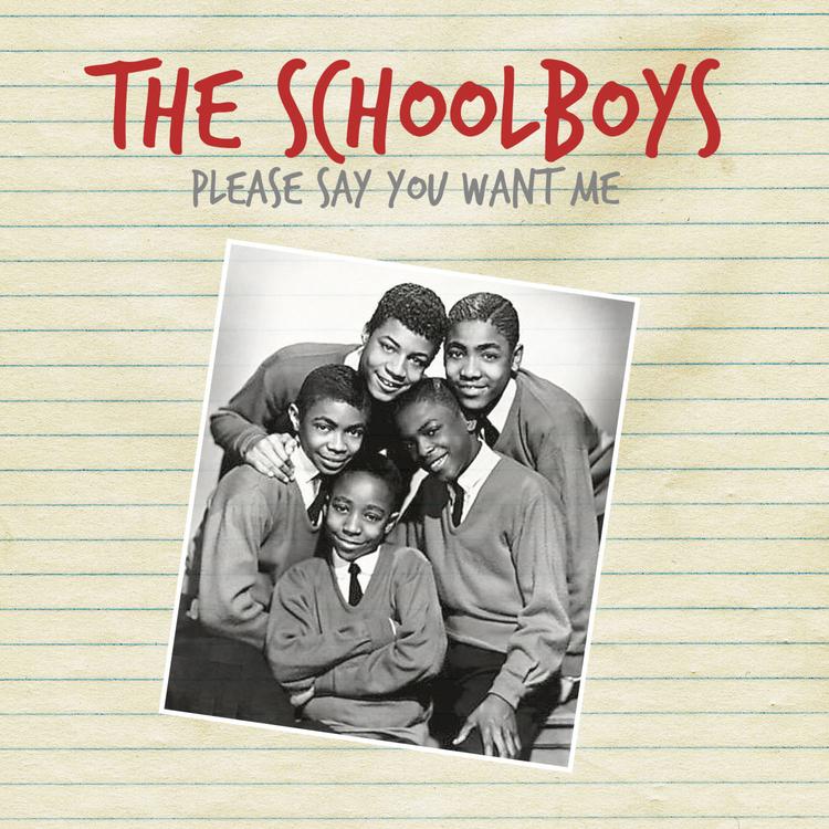 The Schoolboys's avatar image