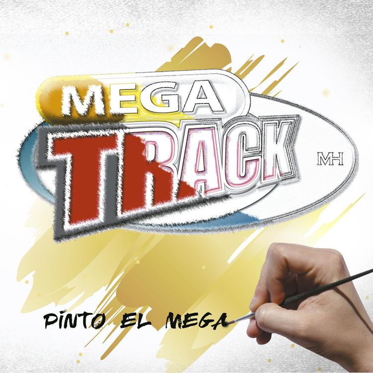 Megatrack's avatar image