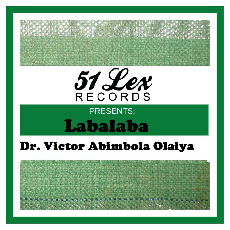 Dr. Victor Abimbola Olaiya's avatar image