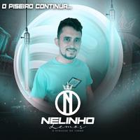 Nelinho Lemos's avatar cover