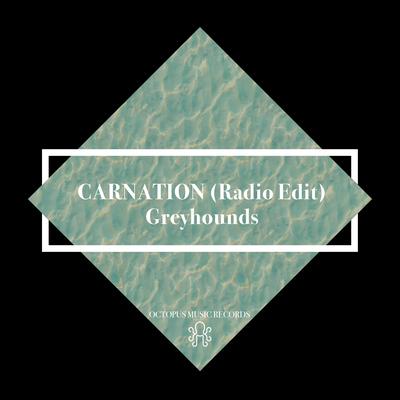 Carnation (Radio Edit) By Greyhounds's cover