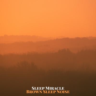 Sleep Miracle's cover