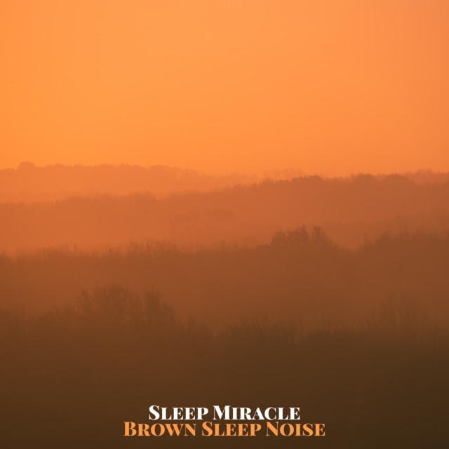 Sleep Miracle's avatar image