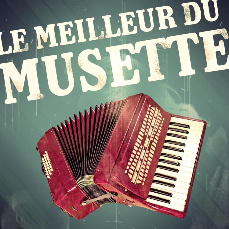 Le Meilleur Du Musette's avatar image