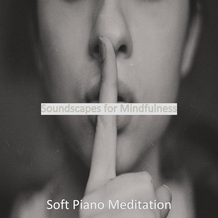 Soft Piano Meditation's avatar image