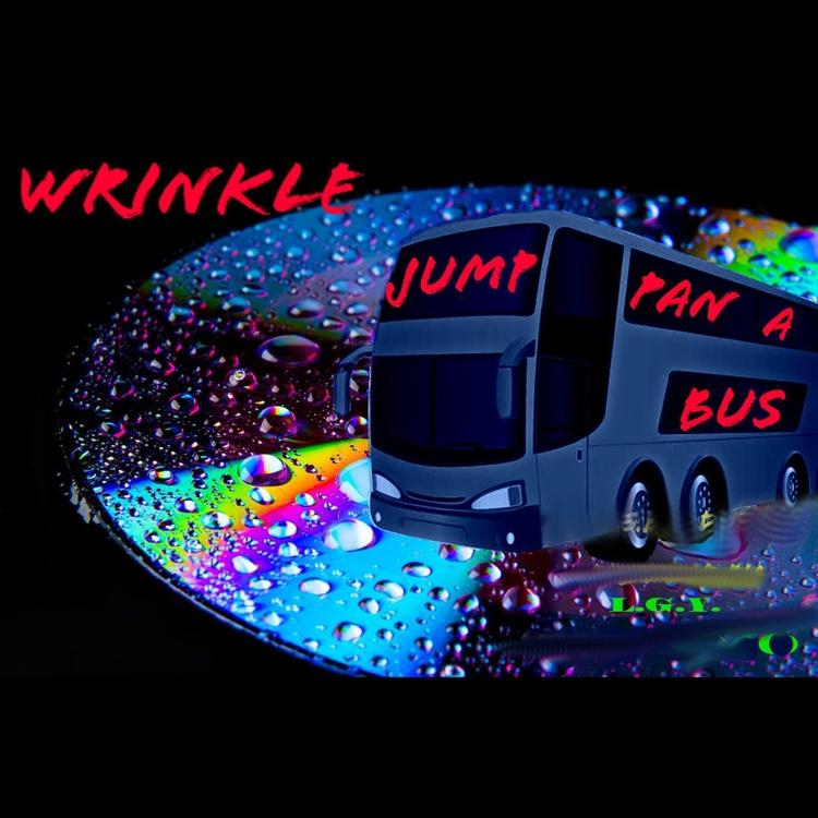 Wrinkle's avatar image