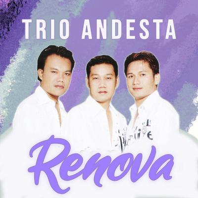 Trio Andesta's cover