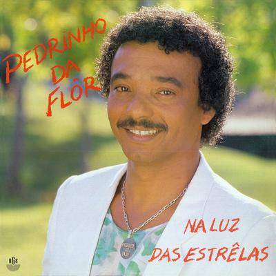 Fria Solidão By Pedrinho Da Flor's cover