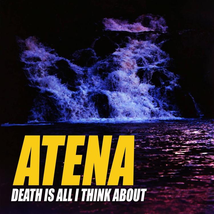 Atena's avatar image