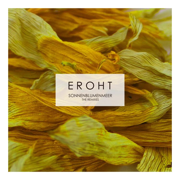 Eroht's avatar image