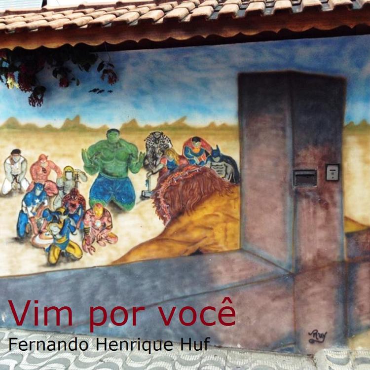 Fernando Henrique Huf's avatar image