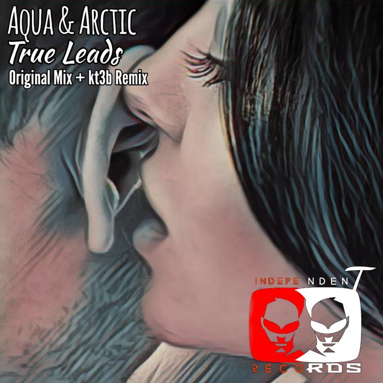 Aqua & Arctic's avatar image