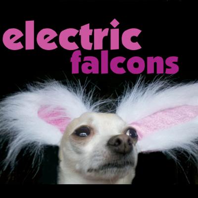 Electric Falcons's cover