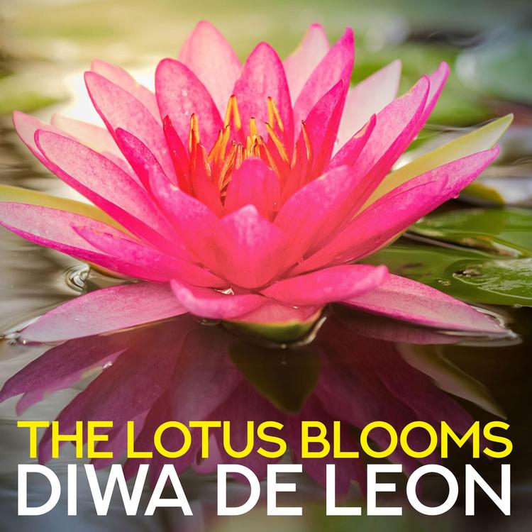 Diwa de Leon's avatar image