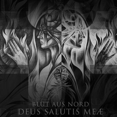 Blut Aus Nord's cover