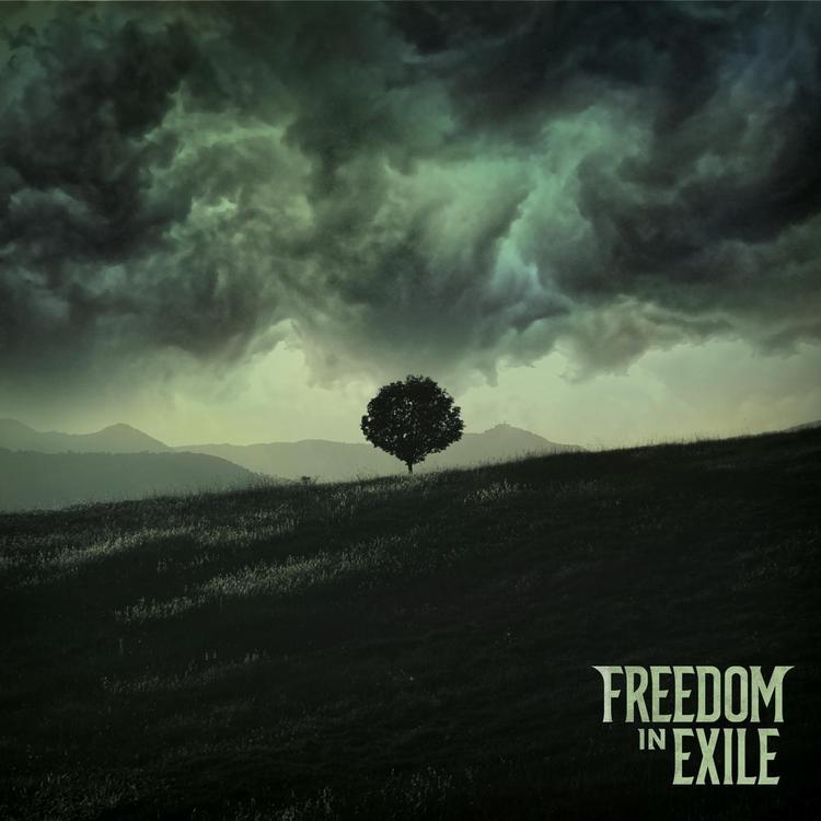 Freedom in Exile's avatar image